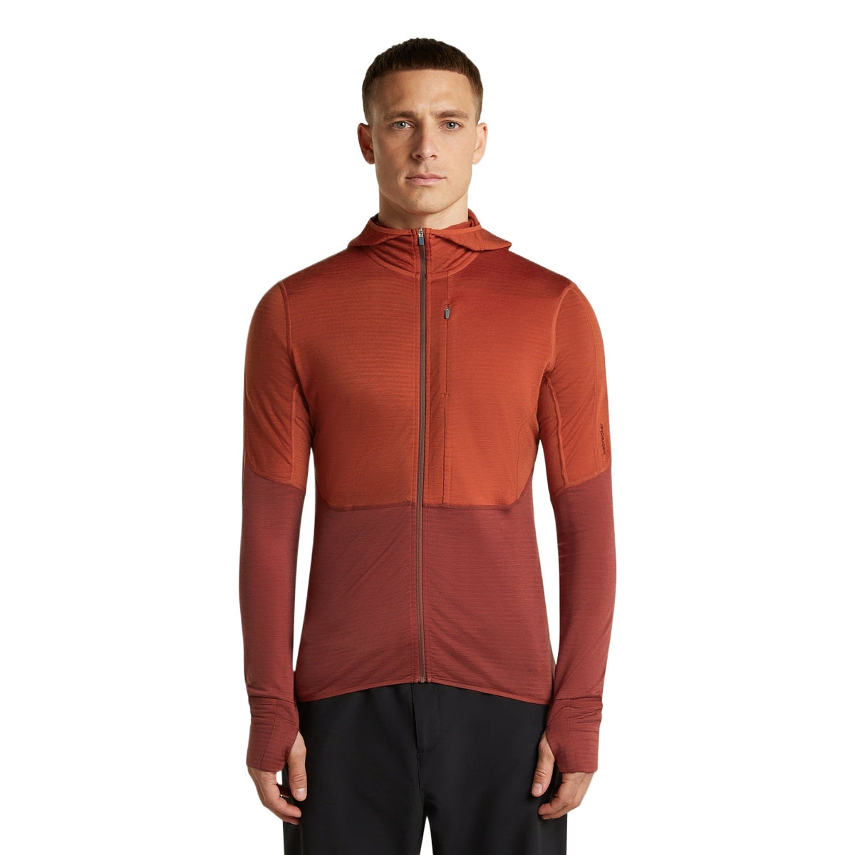 Icebreaker 200 RealFleece Descender Hoodie Heren | trrail.com