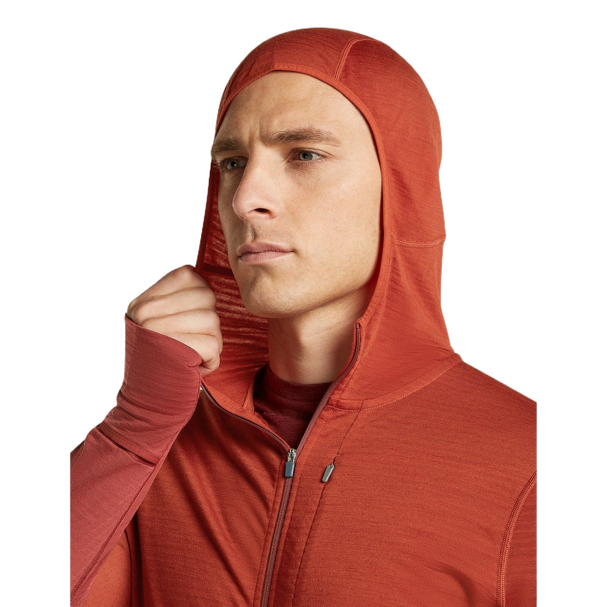 Icebreaker 200 RealFleece Descender Hoodie Heren | trrail.com