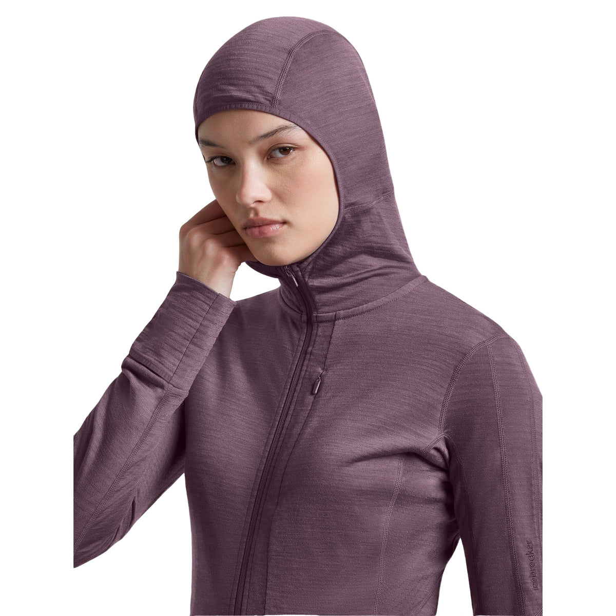 Icebreaker 200 RealFleece Descender Hoodie Dames | trrail.com