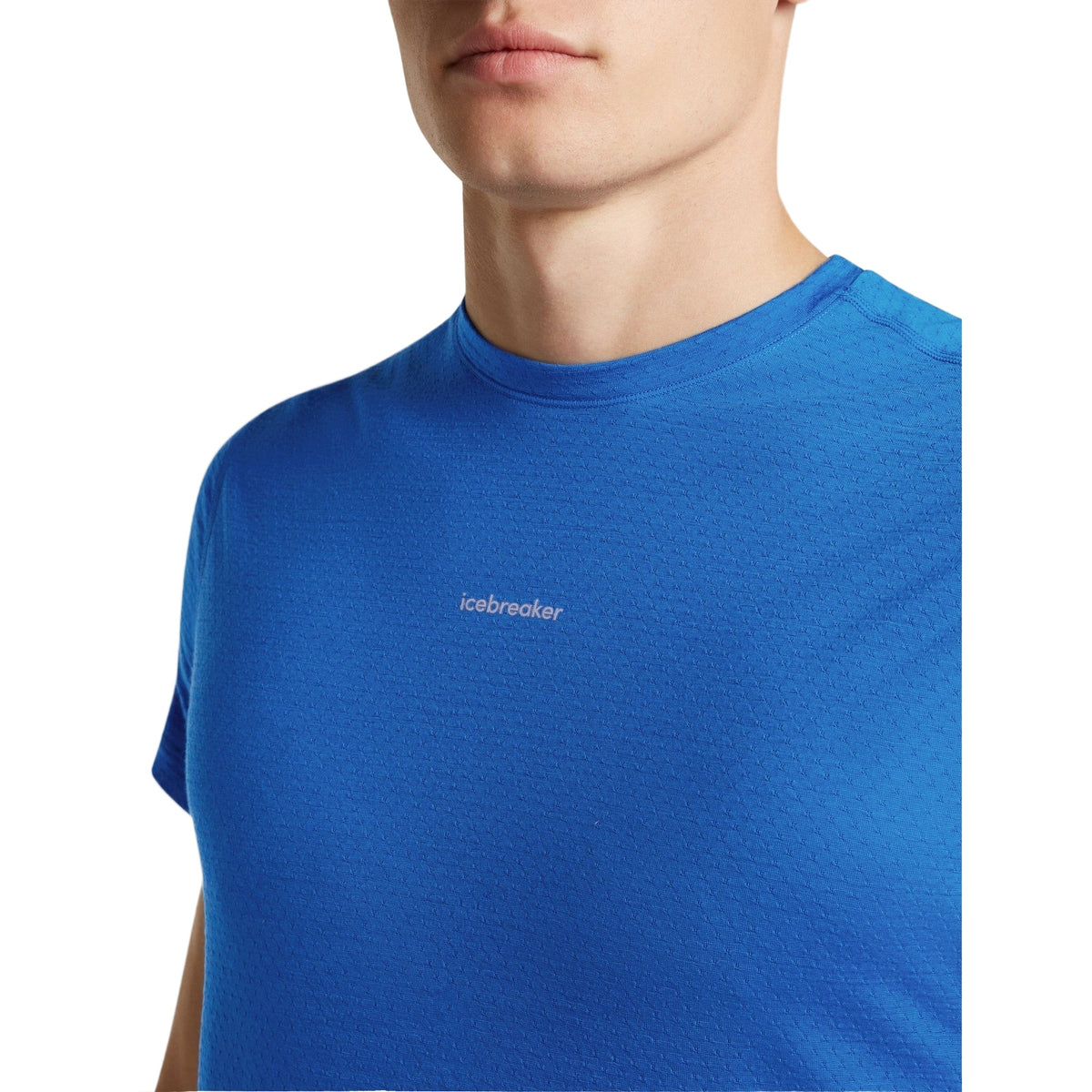 Icebreaker 125 Cool-Lite Speed T-shirt Heren | trrail.com
