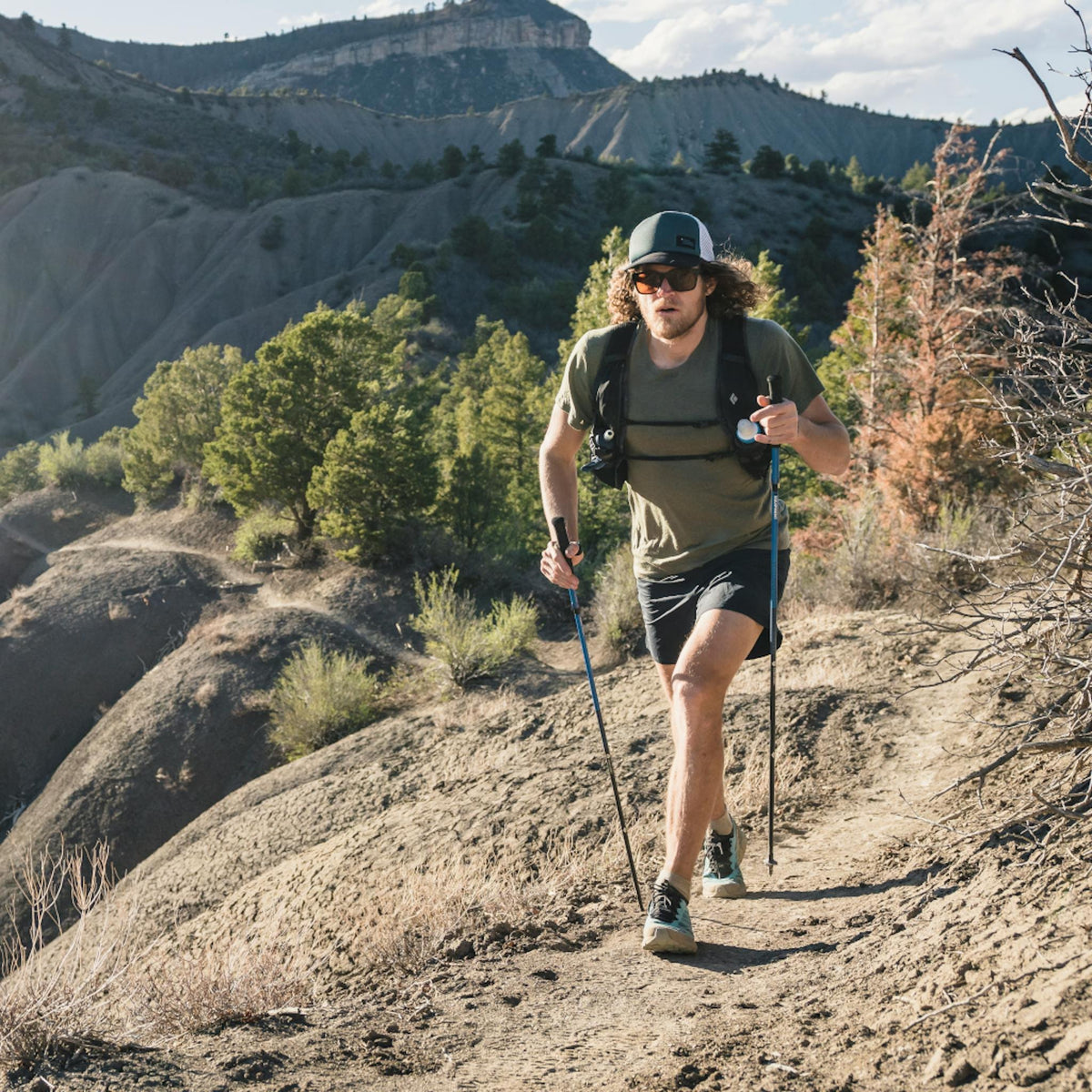 Black Diamond Distance Carbon Z Poles | trrail.com