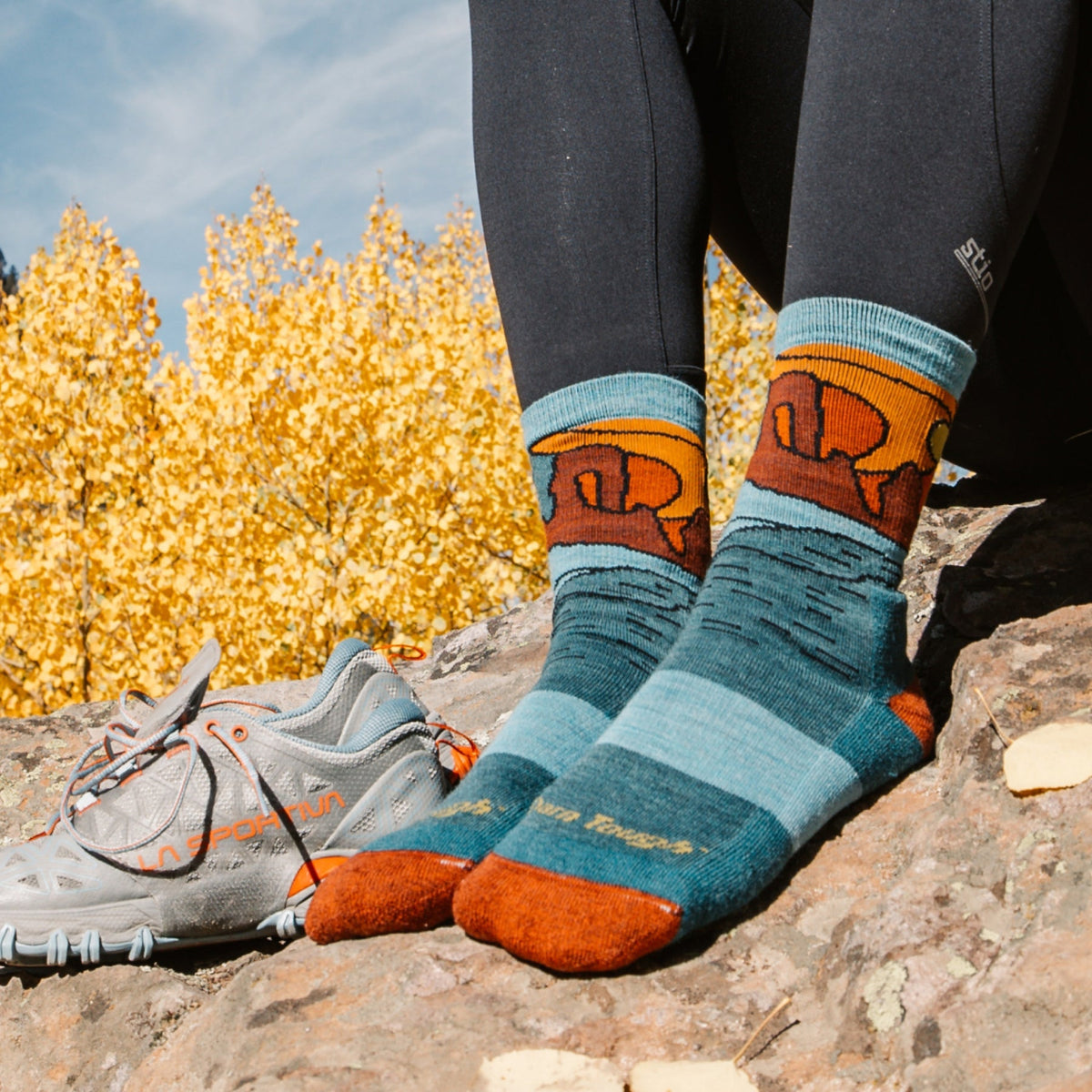 Darn Tough | 5023 Celeste | Micro Crew | Cushion | Dames | trrail.com