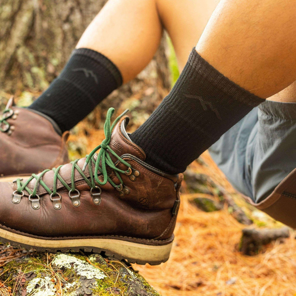 Darn Tough 1403 Hiker Boot Sock Cushion Heren | trrail.com