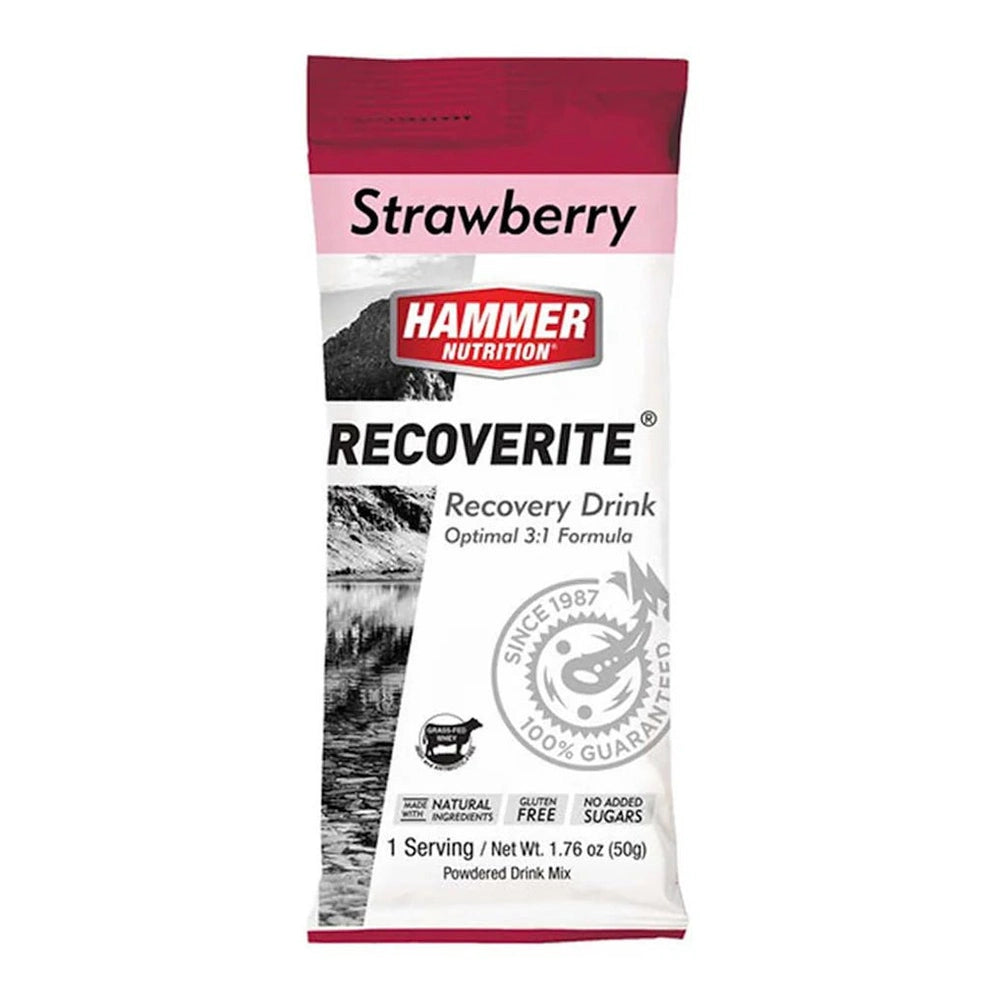 Hammer Nutrition | Recoverite 2.0 | Post-Workout Recovery Drink | 10 Gram Proteïne | trrail.com