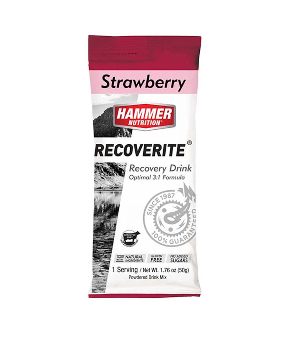 Hammer Nutrition | Recoverite 2.0 | Post-Workout Recovery Drink | 10 Gram Proteïne | trrail.com