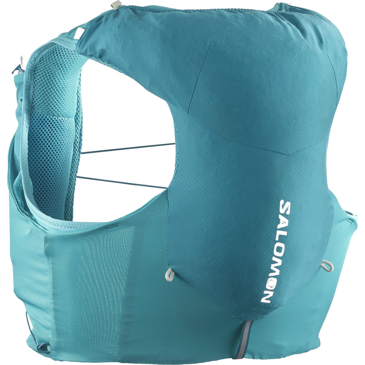 Salomon Adv Skin 5 (5 liter) | trrail.com