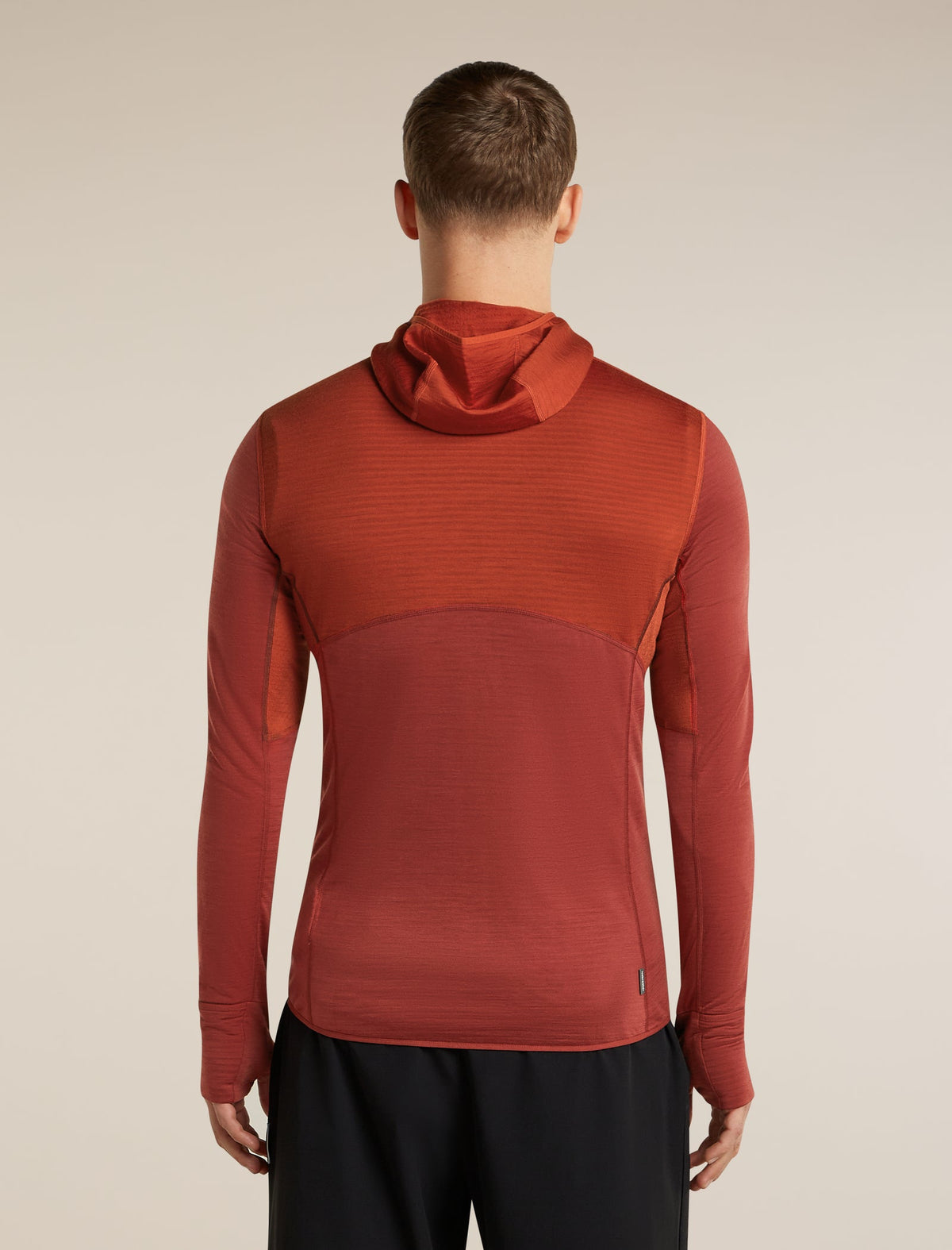 Icebreaker 200 RealFleece Descender Hoodie Heren | trrail.com