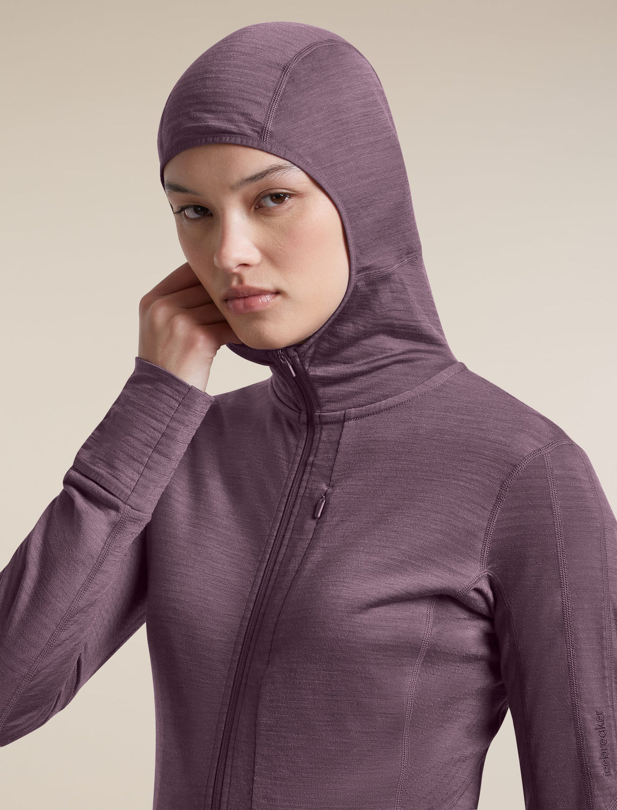 Icebreaker 200 RealFleece Descender Hoodie Dames | trrail.com