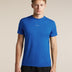 Icebreaker 125 Cool-Lite Speed T-shirt Heren | trrail.com