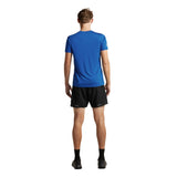 Icebreaker 125 Cool-Lite Speed T-shirt Heren | trrail.com