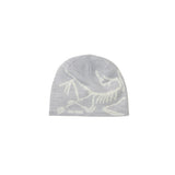Arc'teryx Bird Head Toque - trrail.com