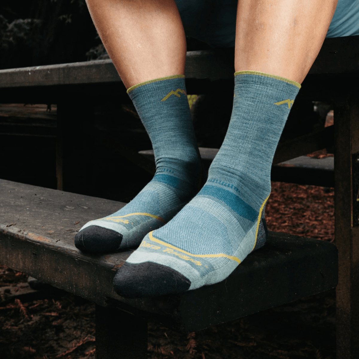Darn Tough 1972 Light Hiker Micro Crew Cushion Heren | trrail.com