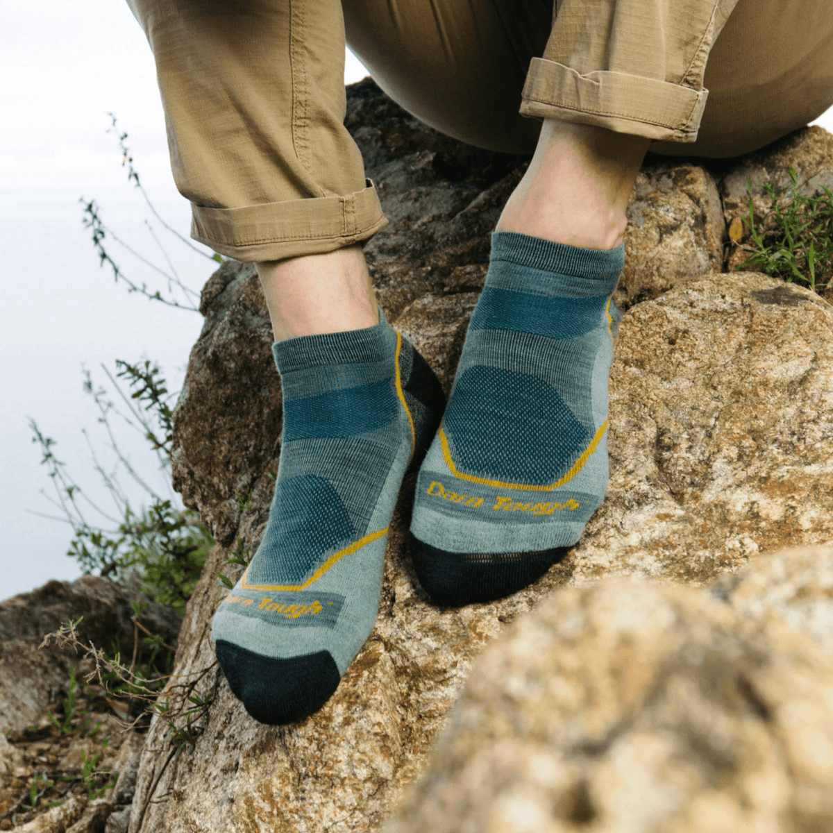 Darn Tough 1990 Light Hiker No Show Cushion Heren | trrail.com