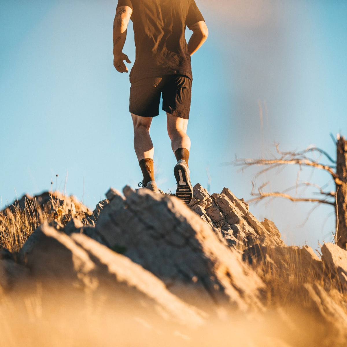 Darn Tough | T4021 Tactical | Boot Sock | Cushion | Unisex | trrail.com