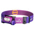Fenix HM65R-T V2.0 (1600 lumen) | trrail.com