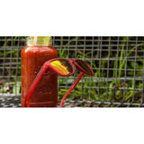 GoodR | OG | Phoenix At A Bloody Mary Bar | trrail.com