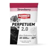 Hammer Nutrition | Perpetuem 2.0 | Ultra Sportdrank | 37 Gram Carbs | trrail.com