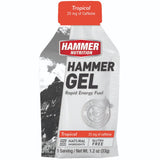 Hammer Nutrition | Rapid Energy Fuel (22g Carbs) | trrail.com