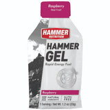 Hammer Nutrition | Rapid Energy Fuel (22g Carbs) | trrail.com