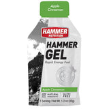 Hammer Nutrition | Rapid Energy Fuel (22g Carbs) | trrail.com