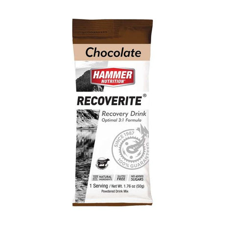 Hammer Nutrition | Recoverite 2.0 | Post-Workout Recovery Drink | 10 Gram Proteïne | trrail.com