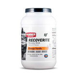 Hammer Nutrition | Recoverite 2.0 | Post-Workout Recovery Drink | 10 Gram Proteïne | trrail.com