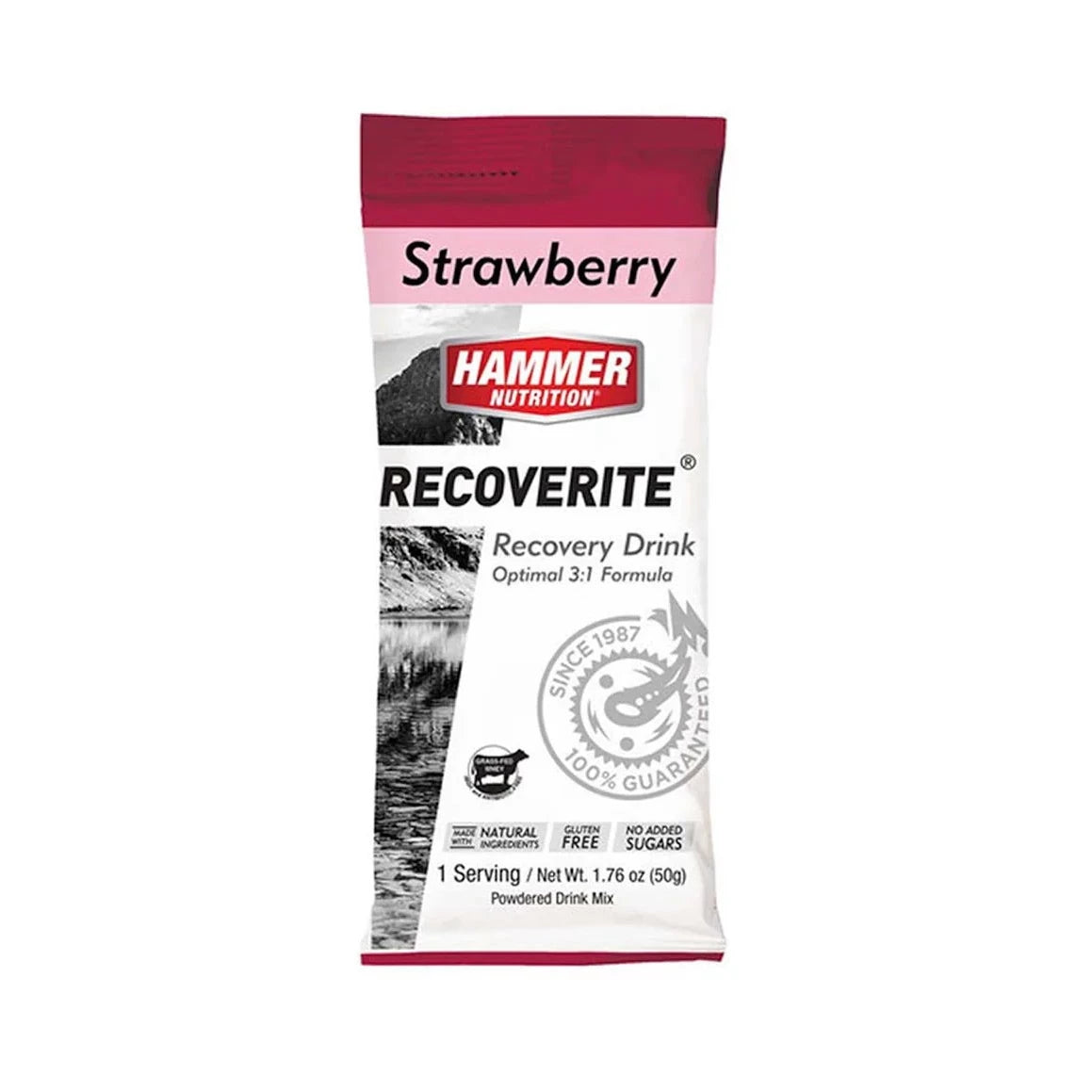 Hammer Nutrition | Recoverite 2.0 | Post-Workout Recovery Drink | 10 Gram Proteïne | trrail.com