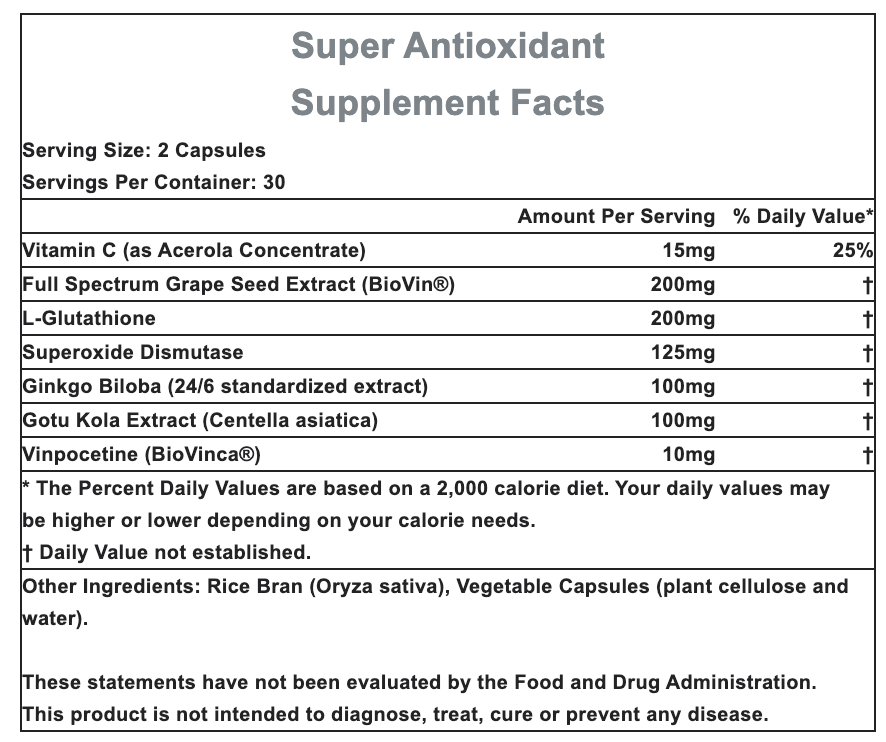 Hammer Nutrition | Superior Recovery | Super Antioxidant | 60 Capsules | trrail.com