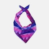 Raidlight Ecodry Bandana | trrail.com