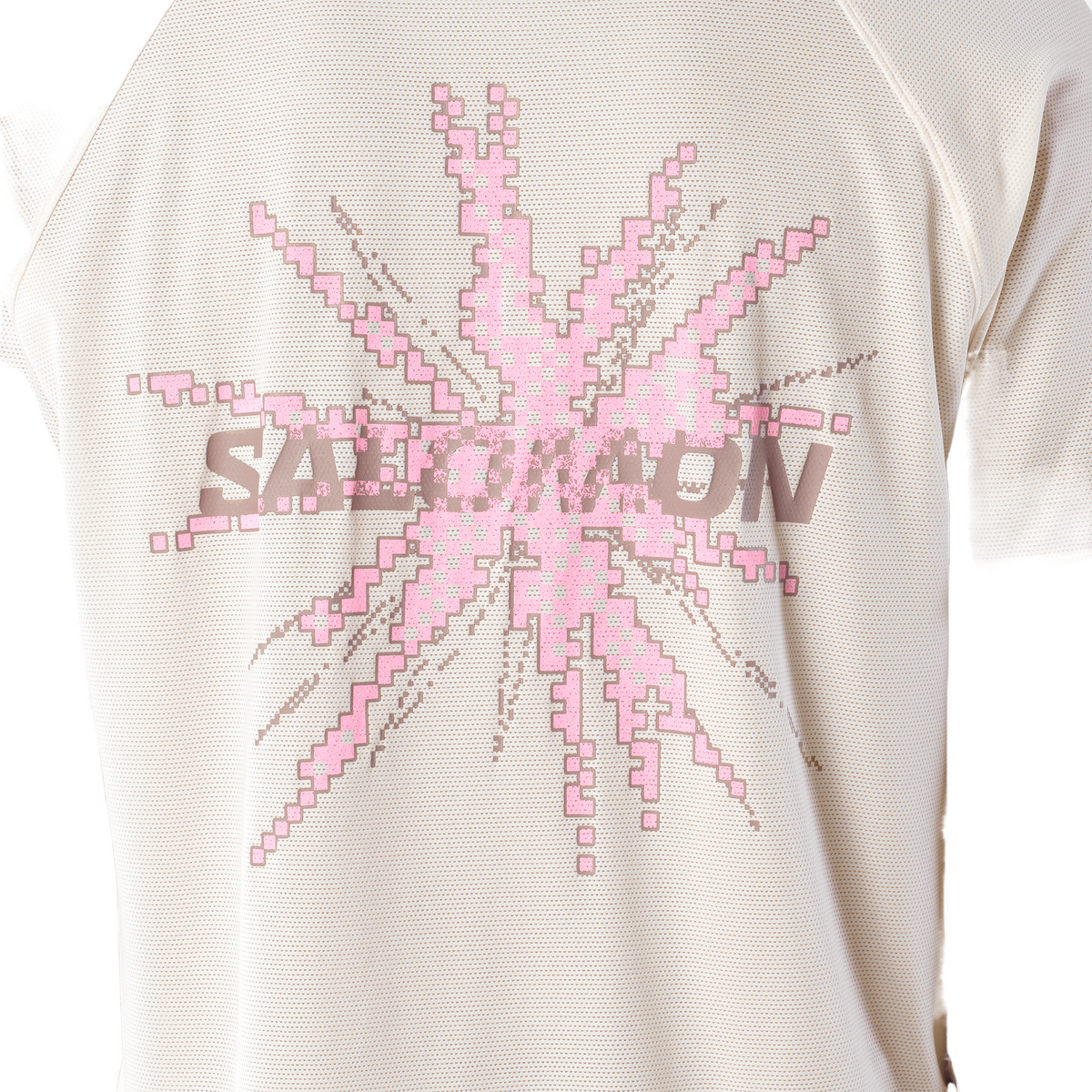 Salomon Shakeout Core Tee GFX Heren | trrail.com