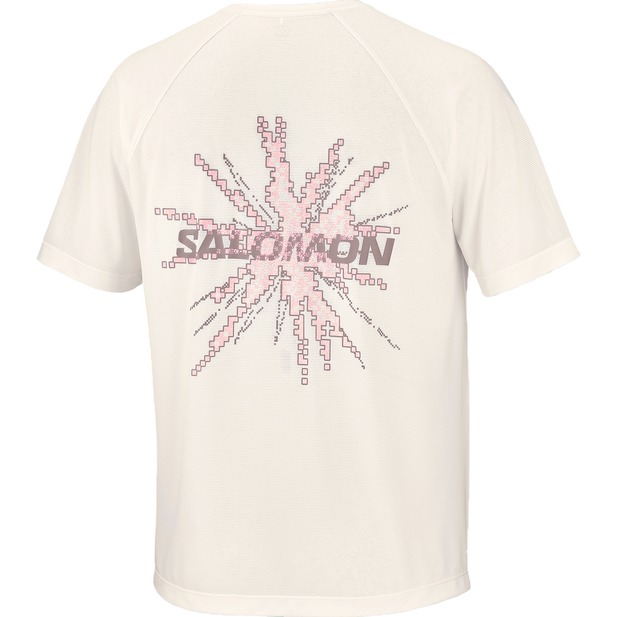 Salomon Shakeout Core Tee GFX Heren | trrail.com