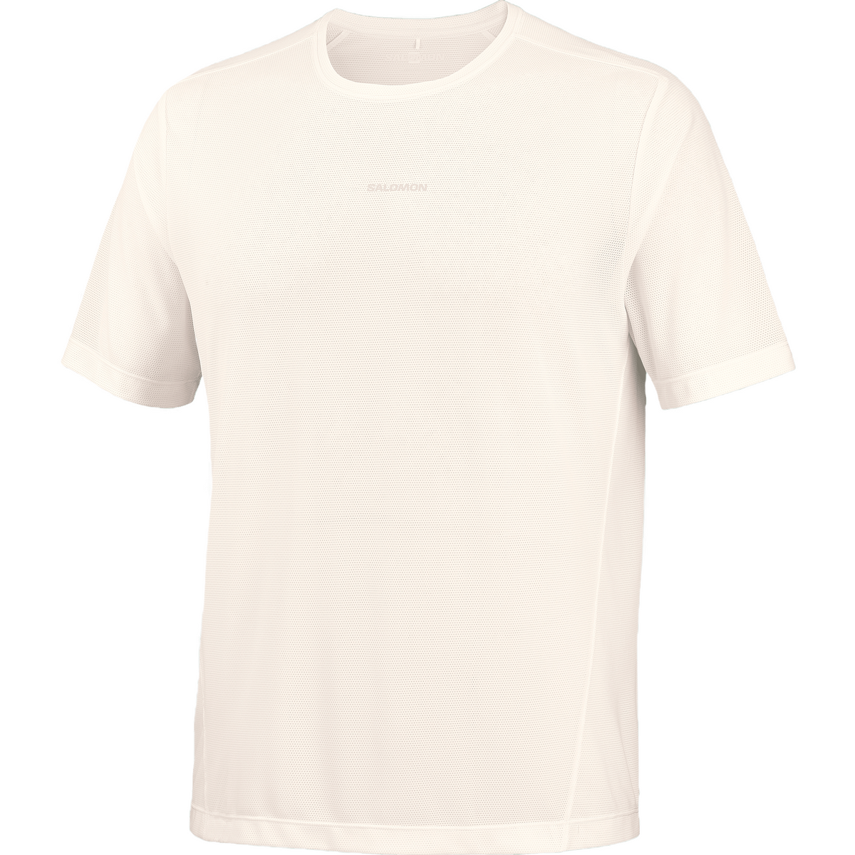 Salomon Shakeout Core Tee GFX Heren | trrail.com