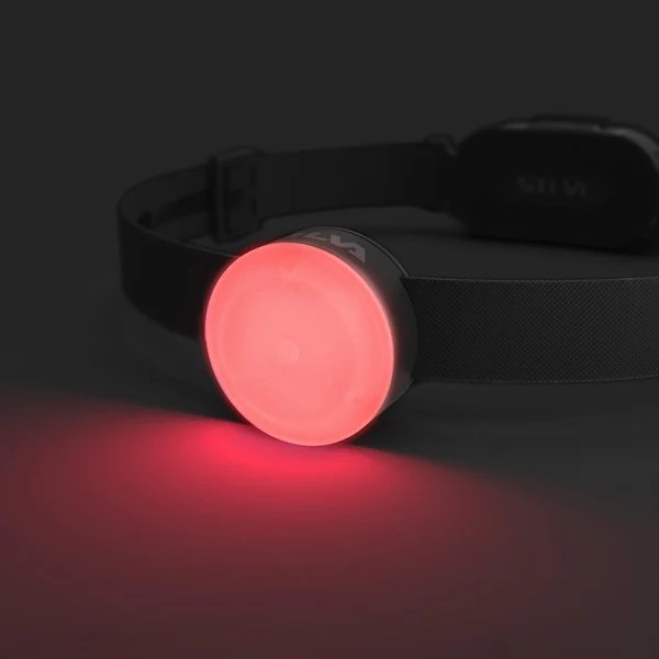 Silva | Smini (250 lumen) | trrail.com
