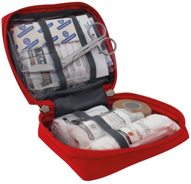 Travelsafe Globe Basic Bag | trrail.com